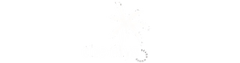 The Alys